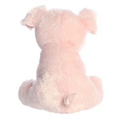 AuroraÂ® - 14" Pig