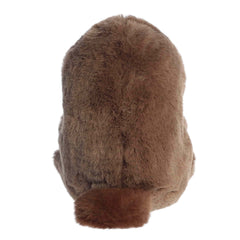 AuroraÂ® - Rolly Petâ¢ - 5" Bestie Platypusâ¢