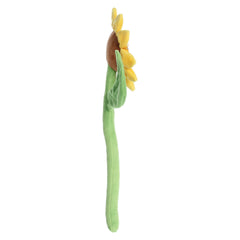 AuroraÂ® - Poseezâ¢ - 15"