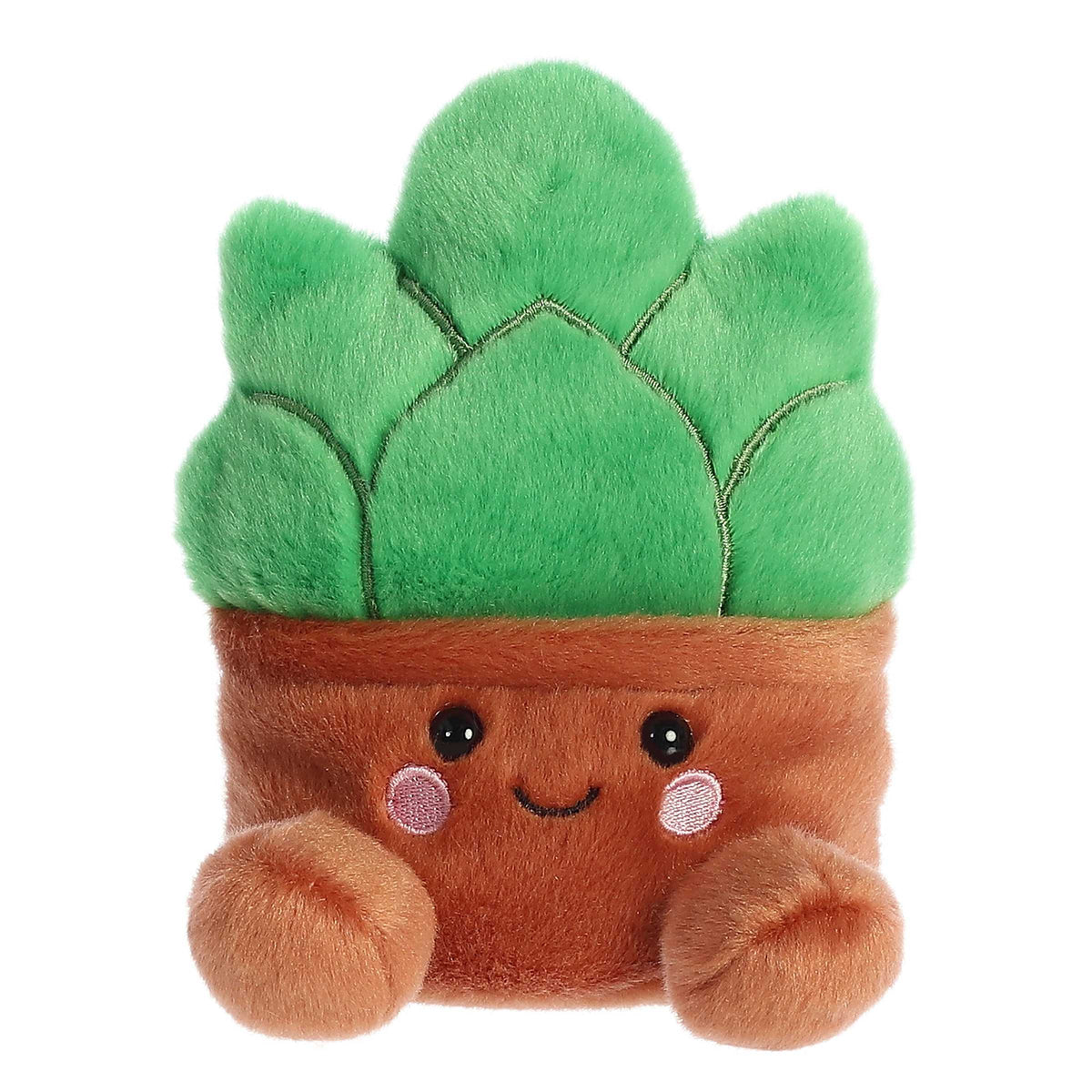 AuroraÂ® - Palm Palsâ¢ - 5" Gigi Succulentâ¢