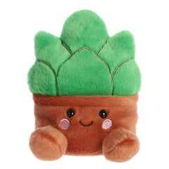AuroraÂ® - Palm Palsâ¢ - 5" Gigi Succulentâ¢