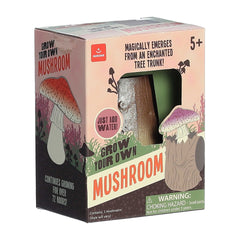 AuroraÂ® Toys - 2.25" Grow Your Own Mushroom